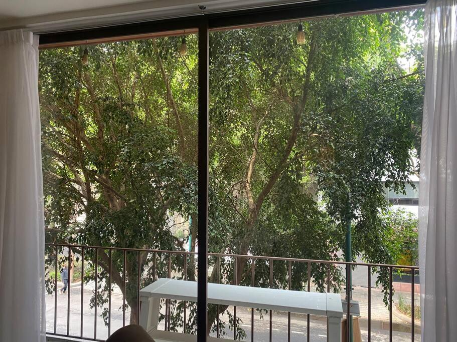 Comfortable Loft At Beautiful Historic Building! Mexico City Exteriör bild